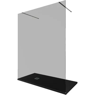 Душевая перегородка Allen Brau Infinity 2 160 3.2105...