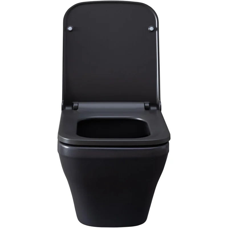 Чаша подвесного унитаза Allen Brau Infinity 4.21011.AN антрацит