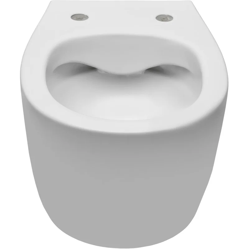 Чаша подвесного унитаза Allen Brau Fantasy 4.11004.21 белый матовый