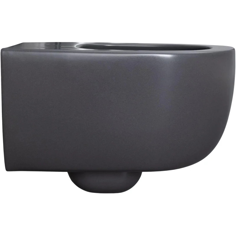 Чаша подвесного унитаза Allen Brau Priority 4.31002.AN антрацит