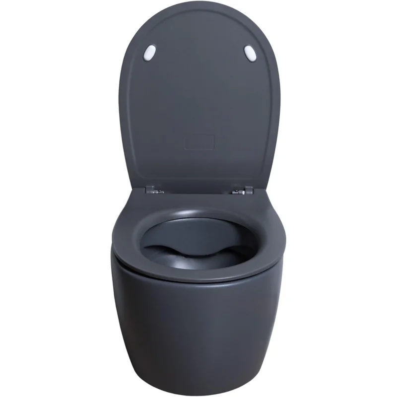 Чаша подвесного унитаза Allen Brau Fantasy 4.11004.AN антрацит