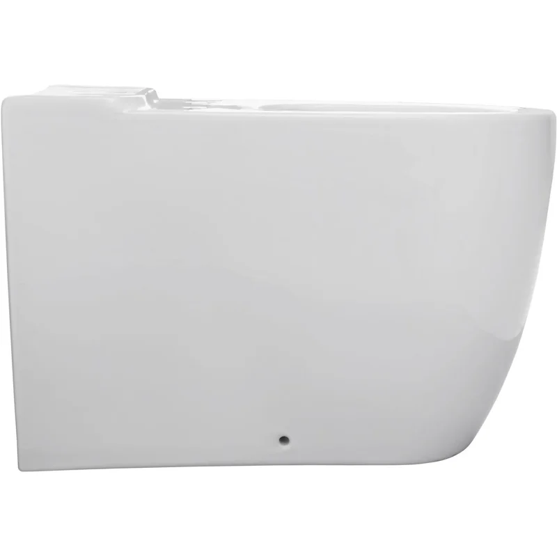 Чаша напольного унитаза Allen Brau Priority 4.31003.20 белый