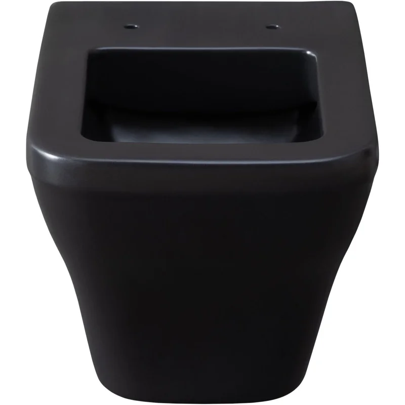 Чаша подвесного унитаза Allen Brau Infinity 4.21011.31 черный матовый