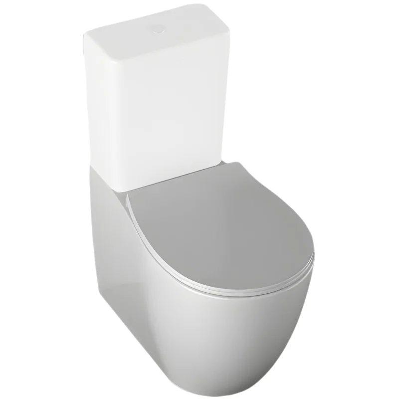 Чаша напольного унитаза Allen Brau Fantasy 4.11009.20 белый глянец