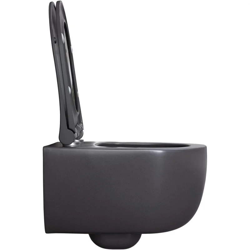 Чаша подвесного унитаза Allen Brau Priority 4.31002.AN антрацит