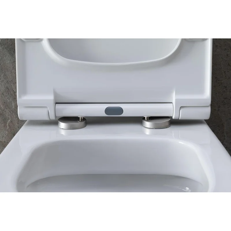 Унитаз с инсталляцией Allen Brau Priority 4.31002.20/8.9466.0.000.000.1 белый глянец