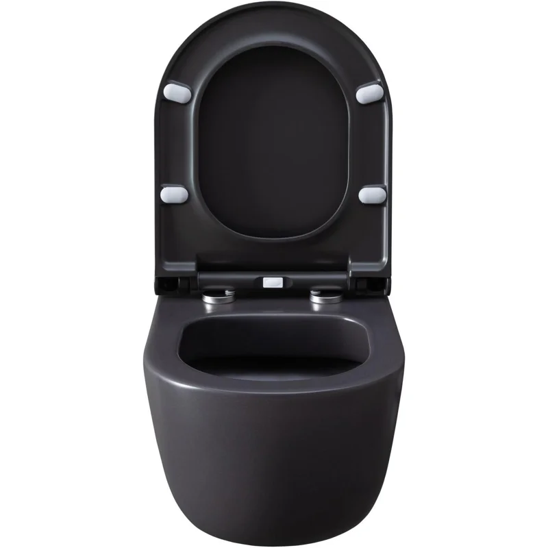 Чаша подвесного унитаза Allen Brau Priority 4.31002.AN антрацит