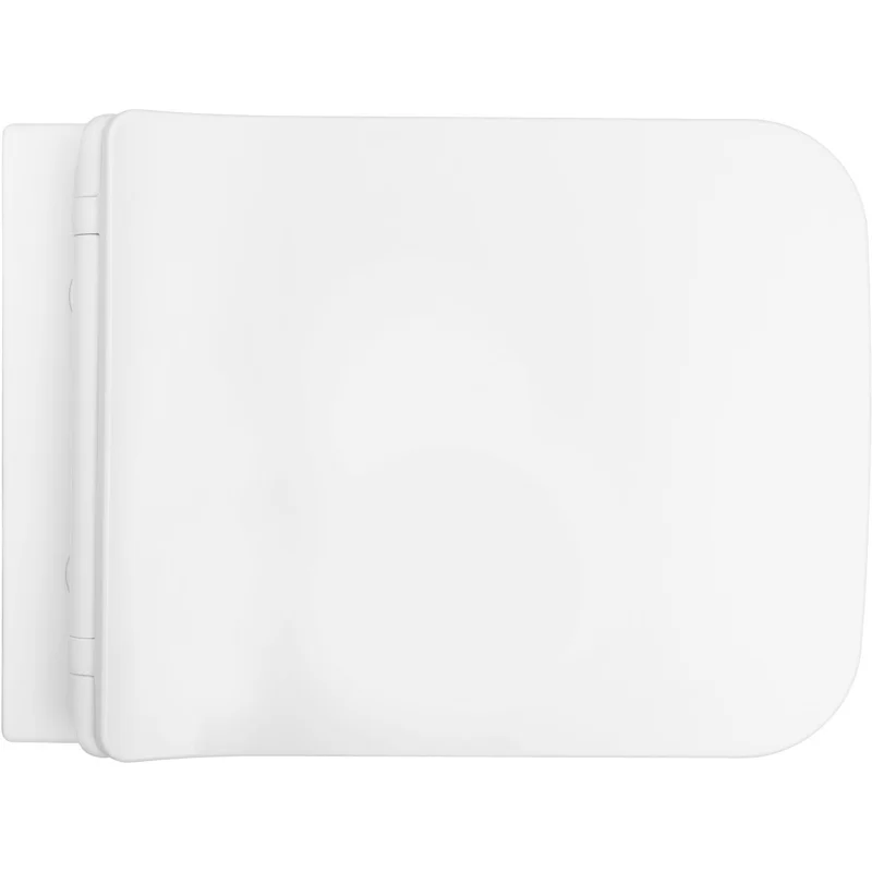 Чаша подвесного унитаза Allen Brau Liberty 4.33007.21 белый матовый