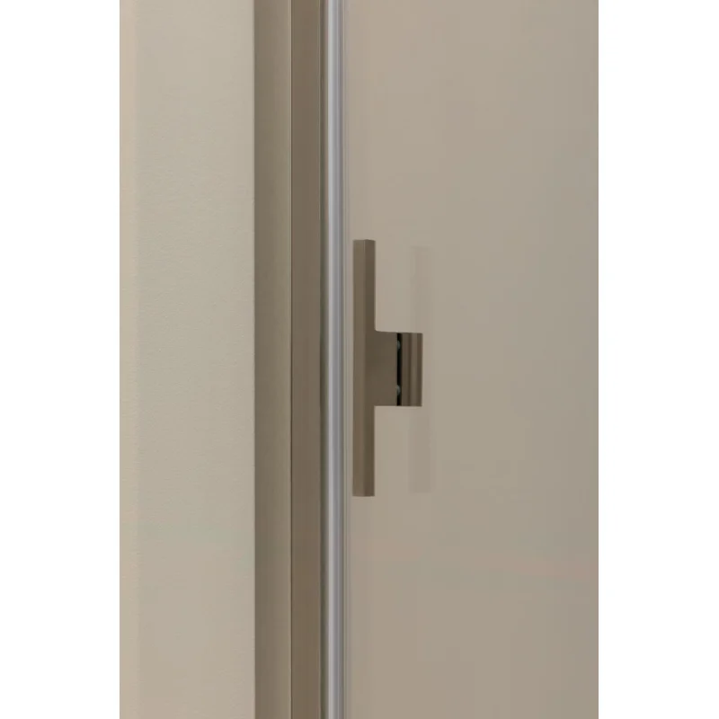 Душевая дверь Allen Brau Priority 120 3.31032.BA серебро браш