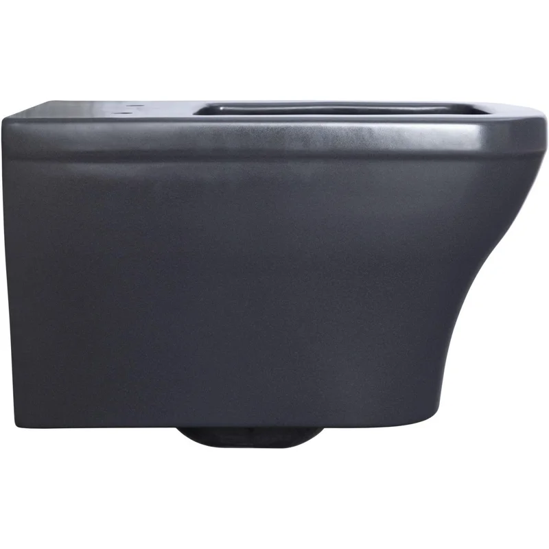 Чаша подвесного унитаза Allen Brau Infinity 4.21011.AN антрацит