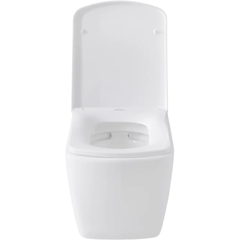 Чаша подвесного унитаза Allen Brau Liberty 4.33004.20 белый глянец