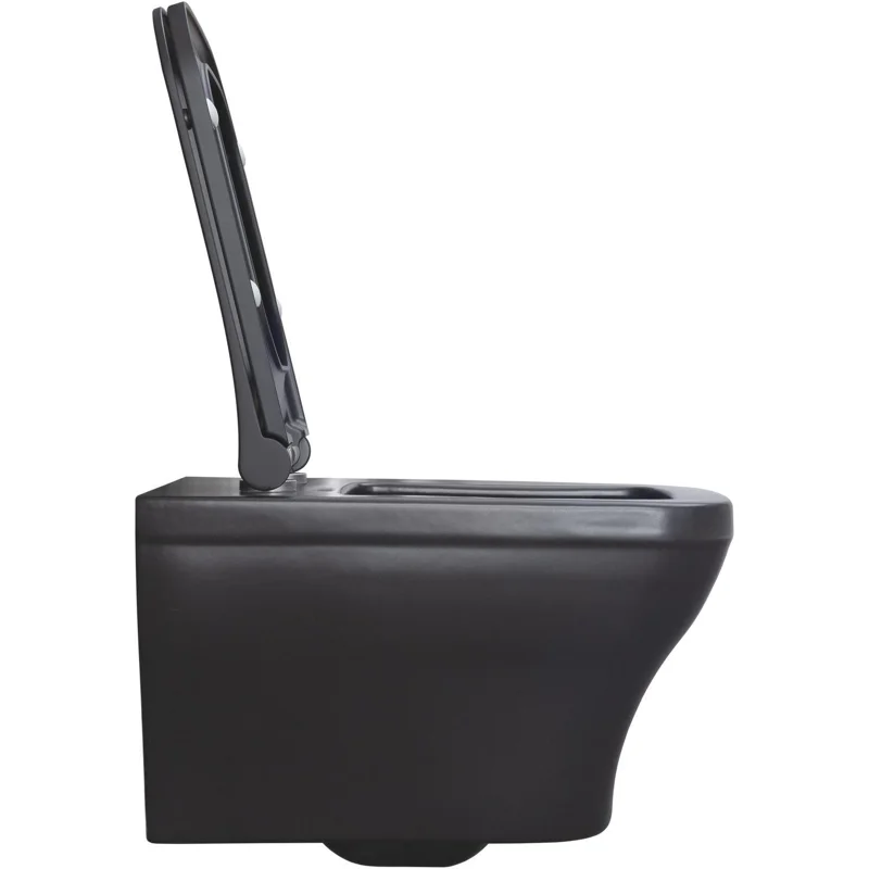 Чаша подвесного унитаза Allen Brau Infinity 4.21011.31 черный матовый