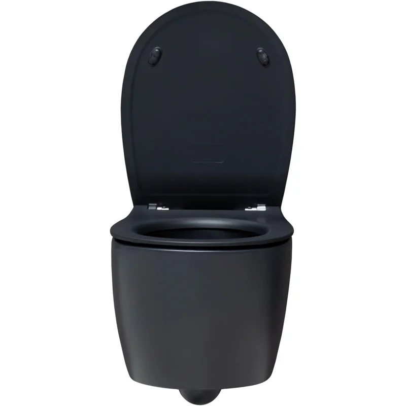 Чаша подвесного унитаза Allen Brau Fantasy 4.11004.31 черный матовый