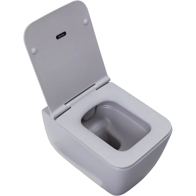 Чаша подвесного унитаза Allen Brau Liberty 4.33007.AN антрацит