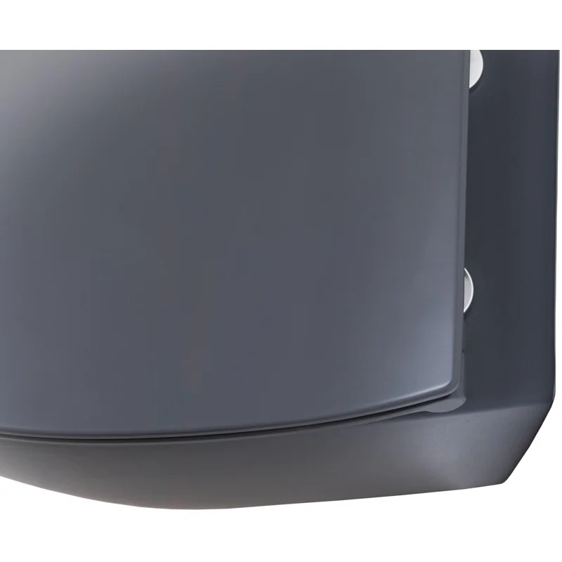 Чаша подвесного унитаза Allen Brau Fantasy 4.11004.AN антрацит