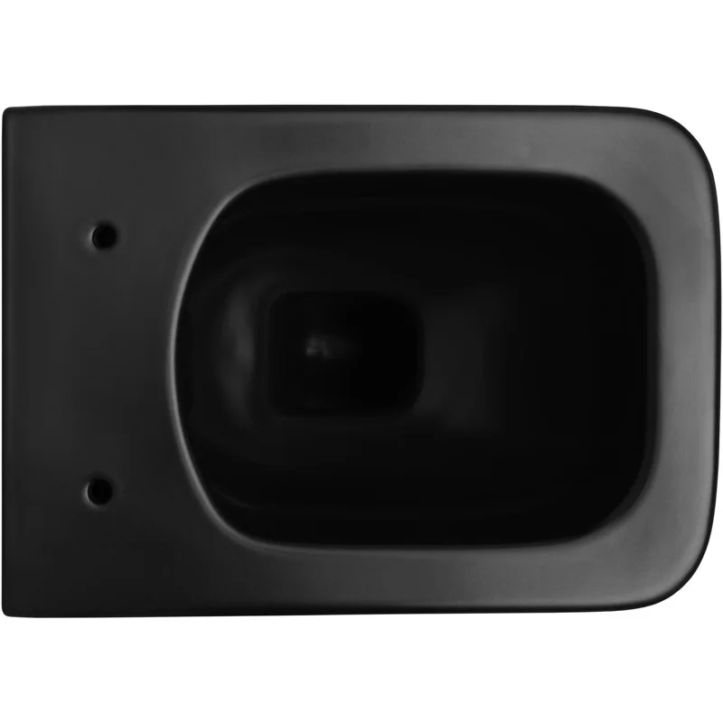 Чаша подвесного унитаза Allen Brau Liberty 4.33007.31 черный матовый