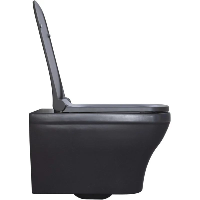 Чаша подвесного унитаза Allen Brau Infinity 4.21011.AN антрацит