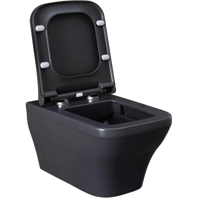 Чаша подвесного унитаза Allen Brau Infinity 4.21011.AN антрацит