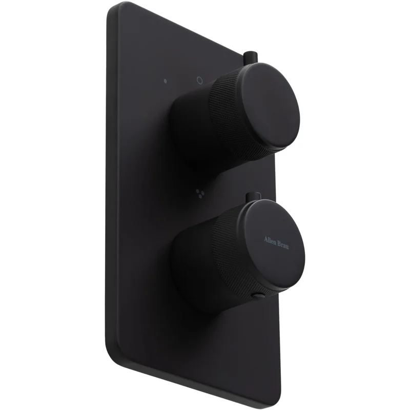 Смеситель для ванны Allen Brau Priority 5.31314-31 (с внутренней частью, 3 выхода) черный матовый