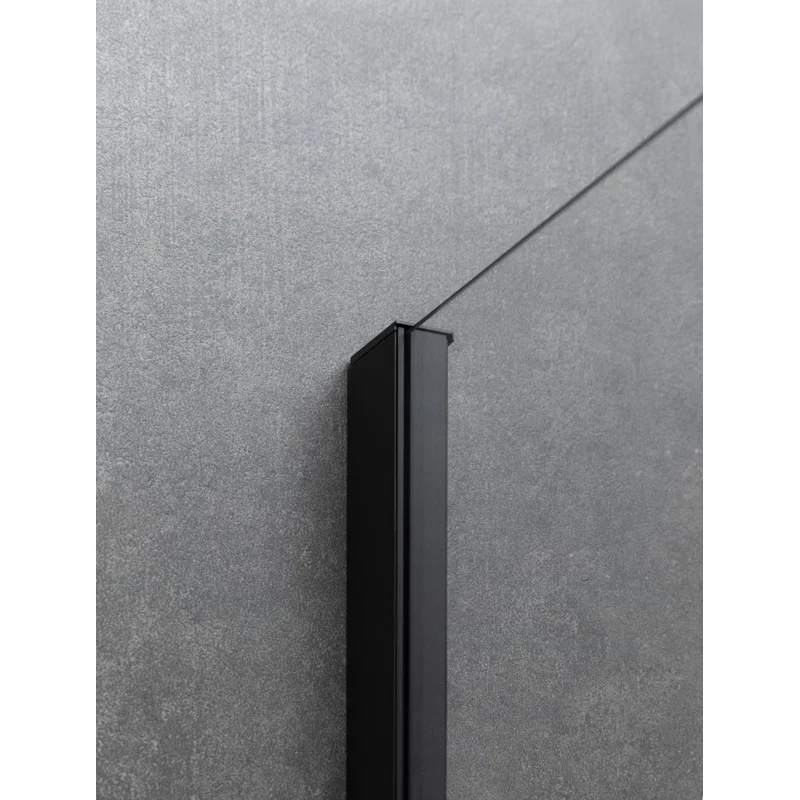 Душевая дверь Allen Brau Priority 120 3.31033.BBA черный браш