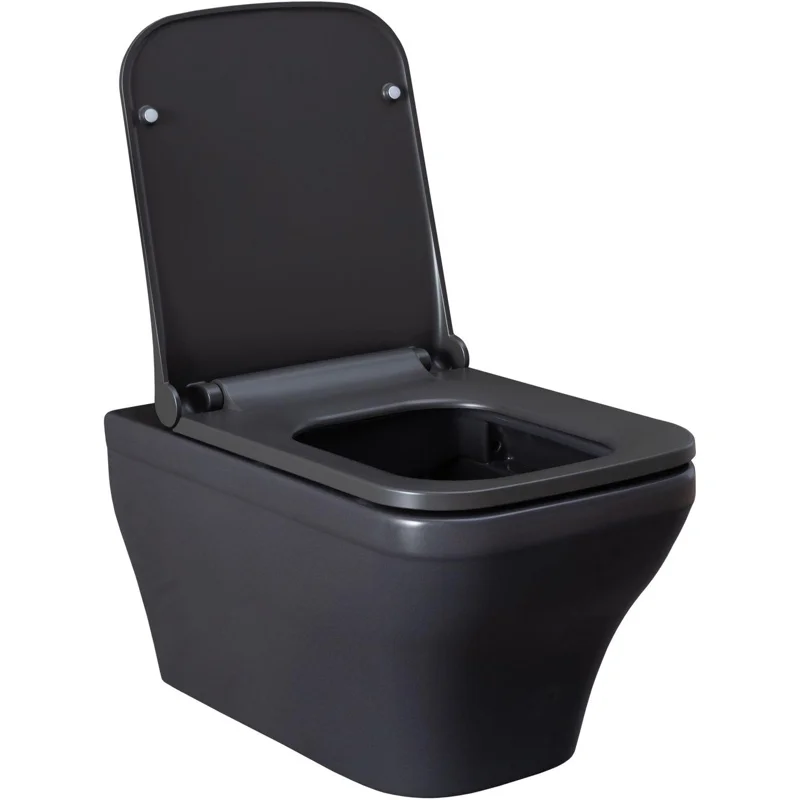 Чаша подвесного унитаза Allen Brau Infinity 4.21011.AN антрацит