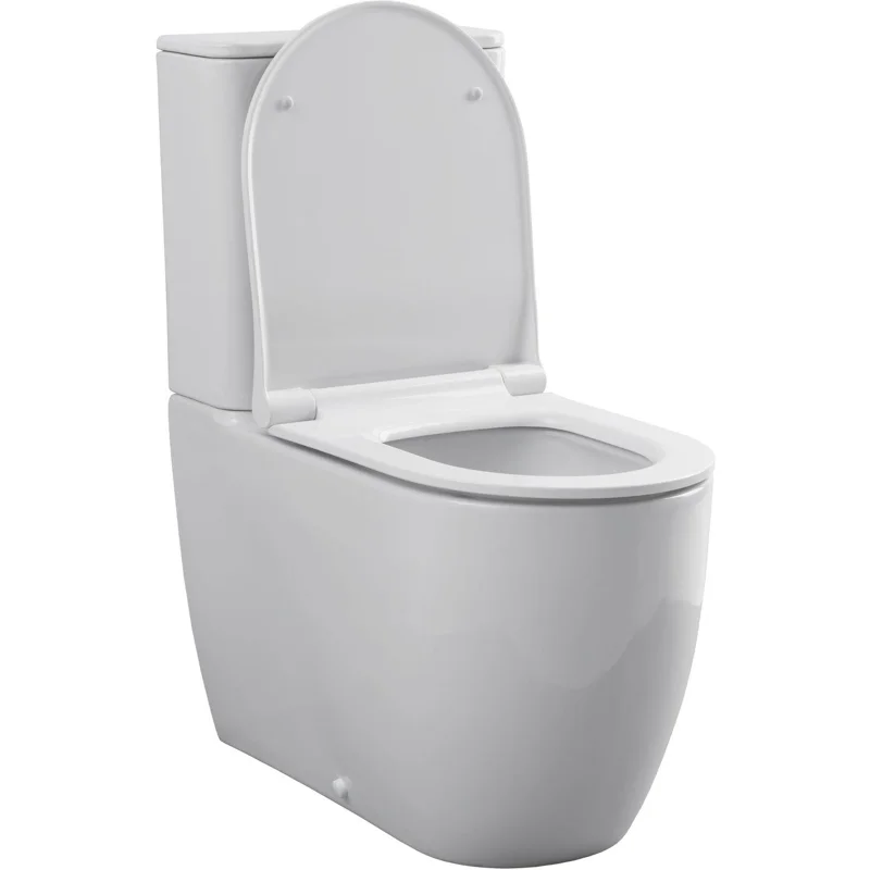 Чаша напольного унитаза Allen Brau Priority 4.31003.20 белый