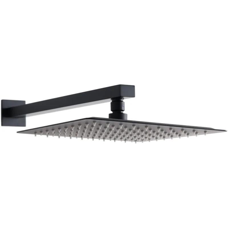 Верхний душ Allen Brau Infinity 5.21019-31 черный матовый