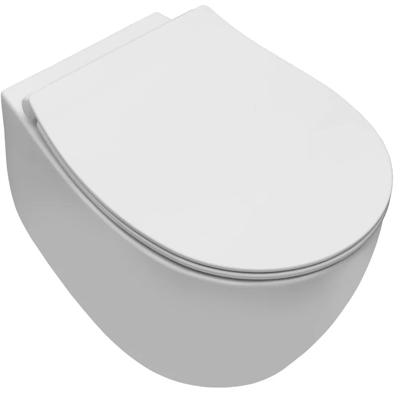 Чаша подвесного унитаза Allen Brau Fantasy 4.11004.21 белый матовый