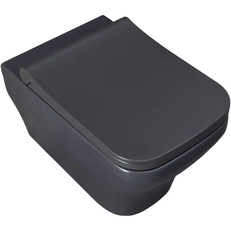 Чаша подвесного унитаза Allen Brau Infinity 4.21011.AN антрацит