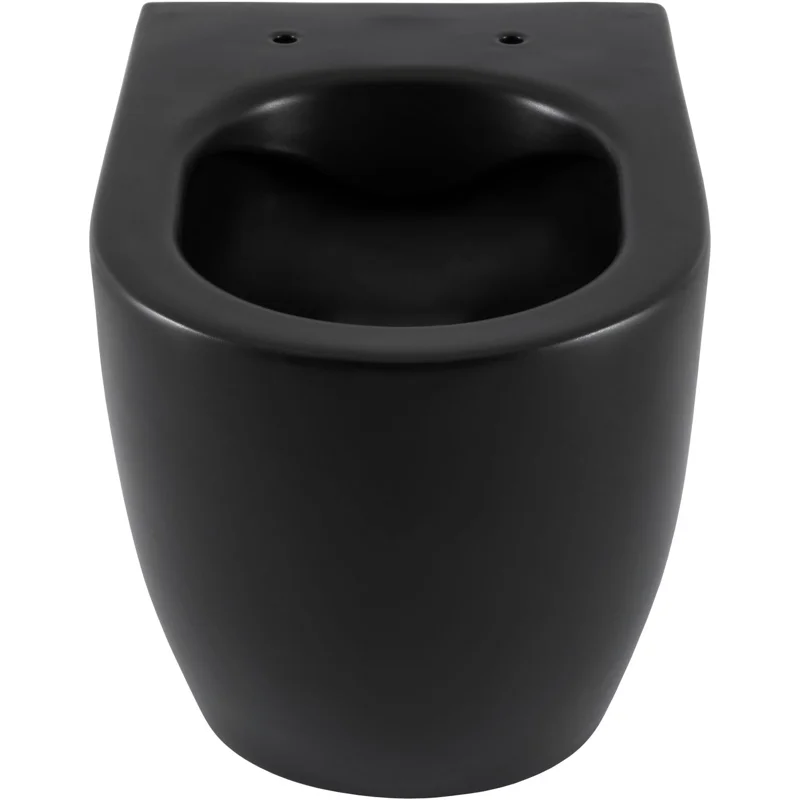 Чаша приставного унитаза Allen Brau Reality 4.32004.31 черный матовый
