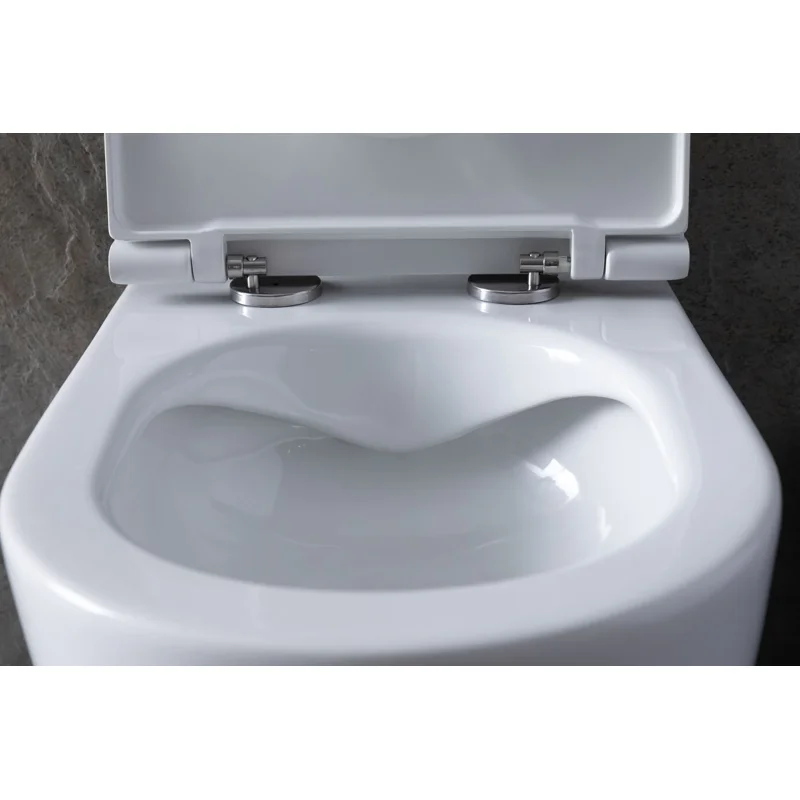 Унитаз с инсталляцией Allen Brau Reality 4.32006.20/8.9466.0.000.000.1 белый глянец