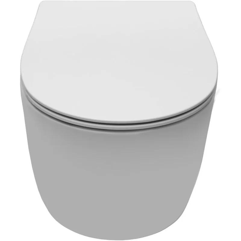 Чаша подвесного унитаза Allen Brau Fantasy 4.11004.21 белый матовый