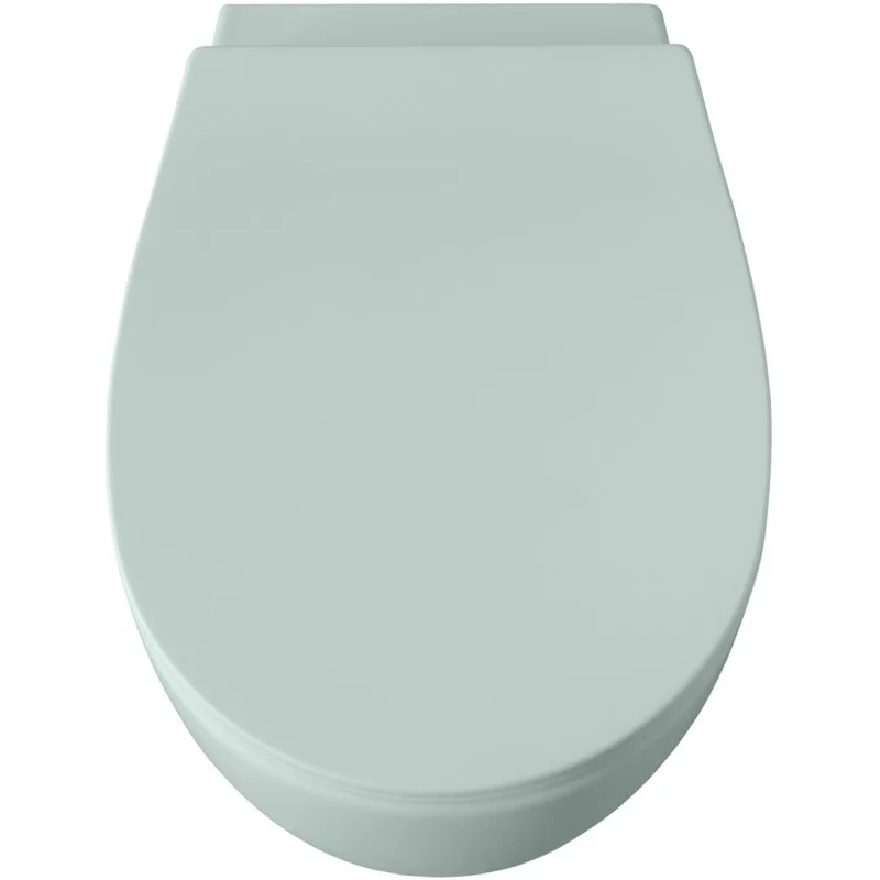 Чаша подвесного унитаза Allen Brau Fantasy 4.11004.MT мятный