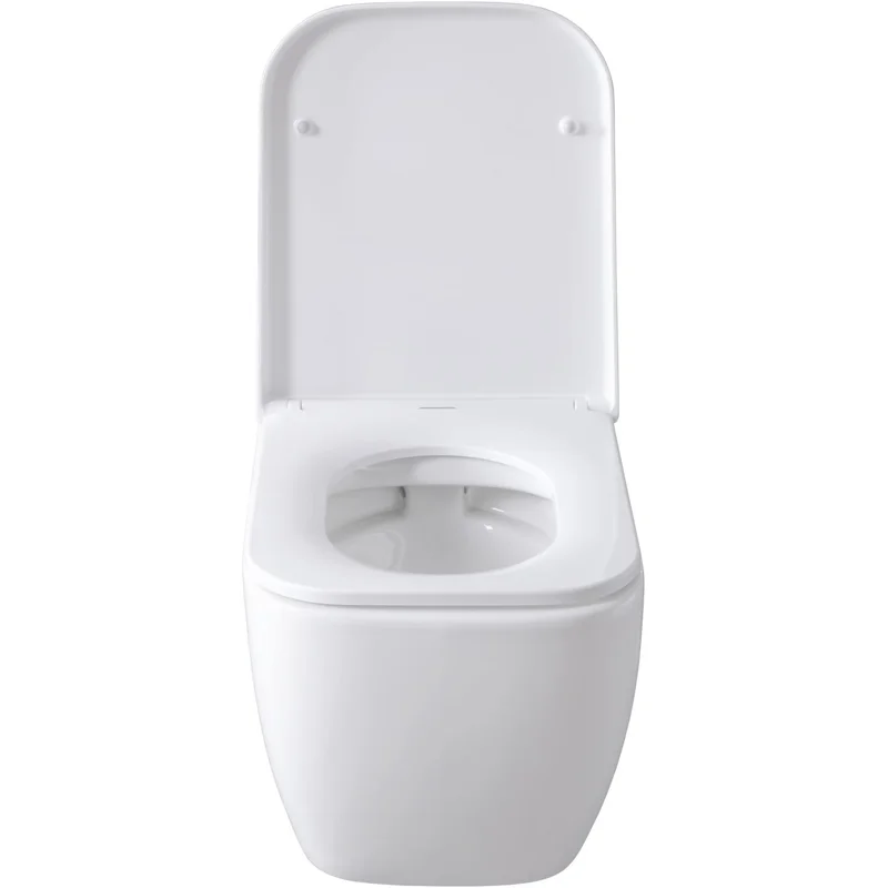 Чаша подвесного унитаза Allen Brau Infinity 4.21004.20 белый глянец