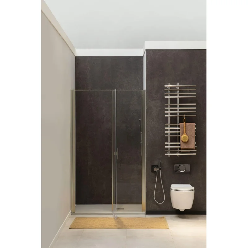 Душевая дверь Allen Brau Priority 120 3.31008.BA серебро браш