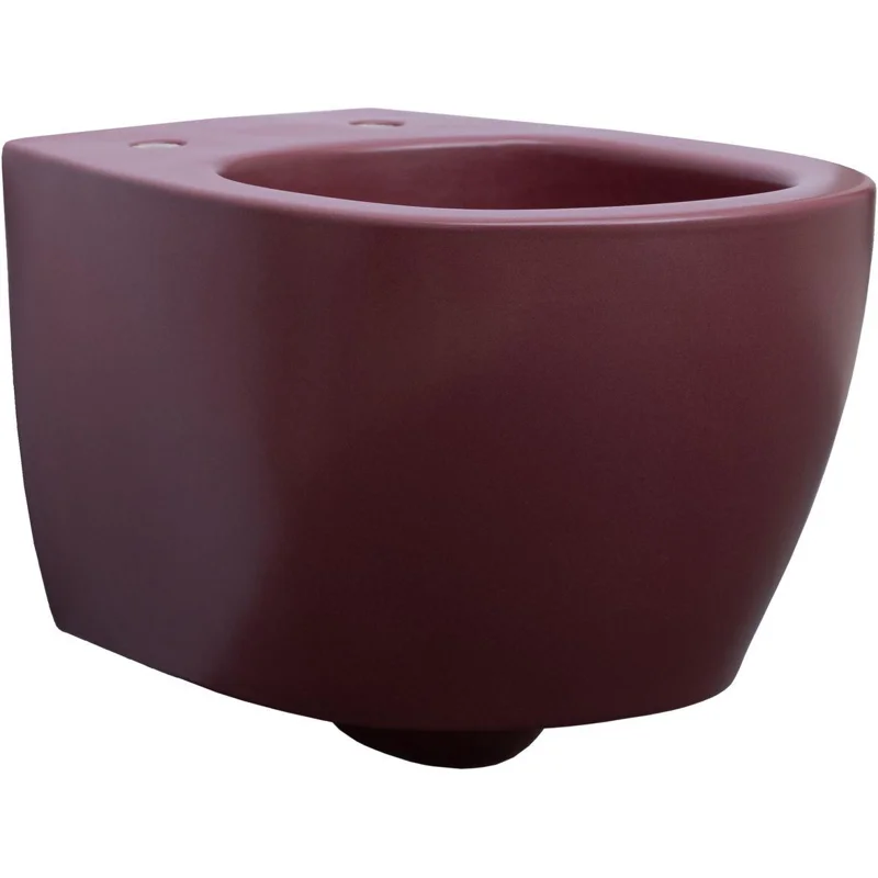 Чаша подвесного унитаза Allen Brau Fantasy 4.11004.BD бордо