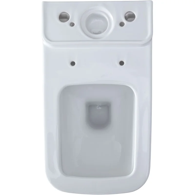 Чаша напольного унитаза Allen Brau Infinity 4.21012.20 белый глянец