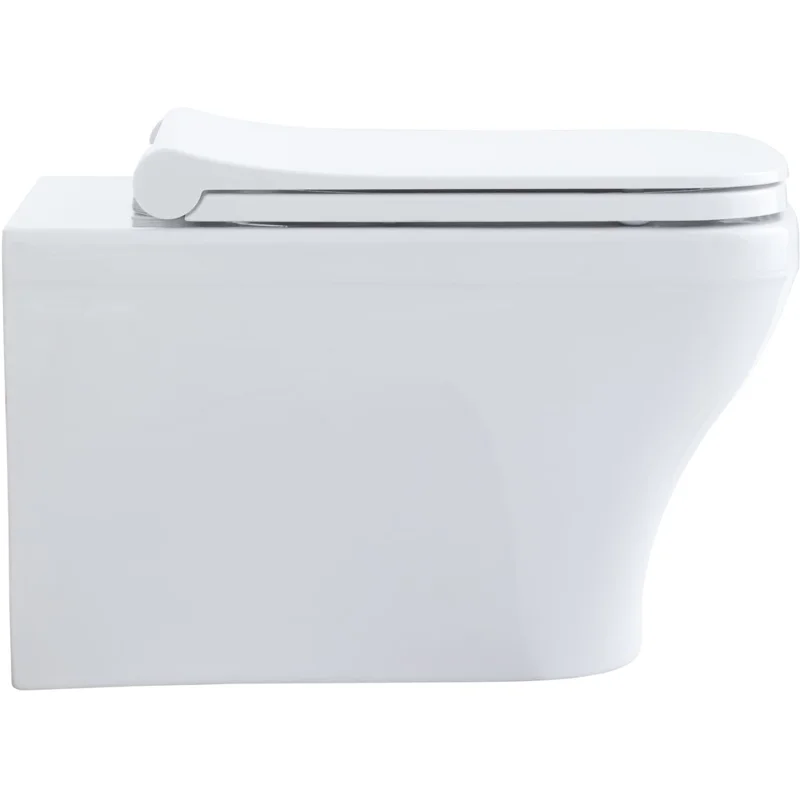 Чаша подвесного унитаза Allen Brau Infinity 4.21011.20 белый глянец