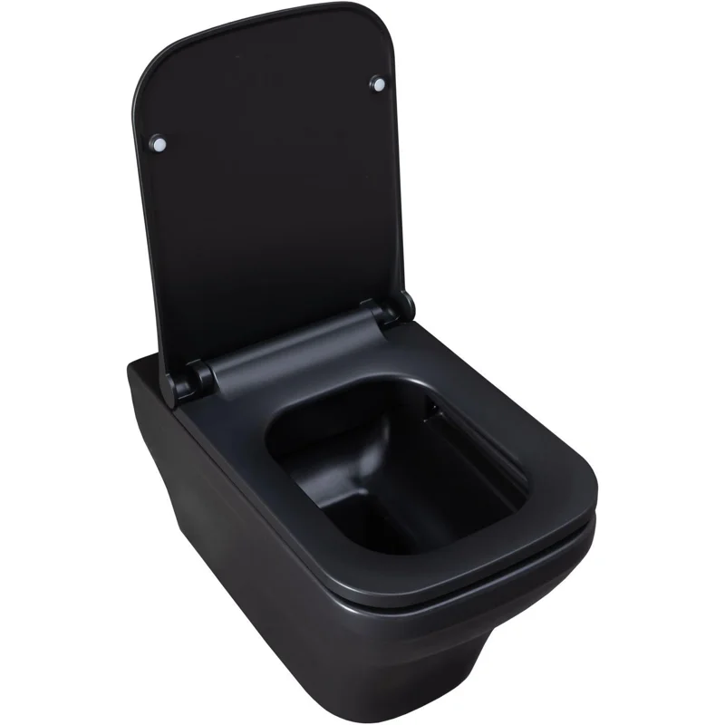 Чаша подвесного унитаза Allen Brau Infinity 4.21011.31 черный матовый