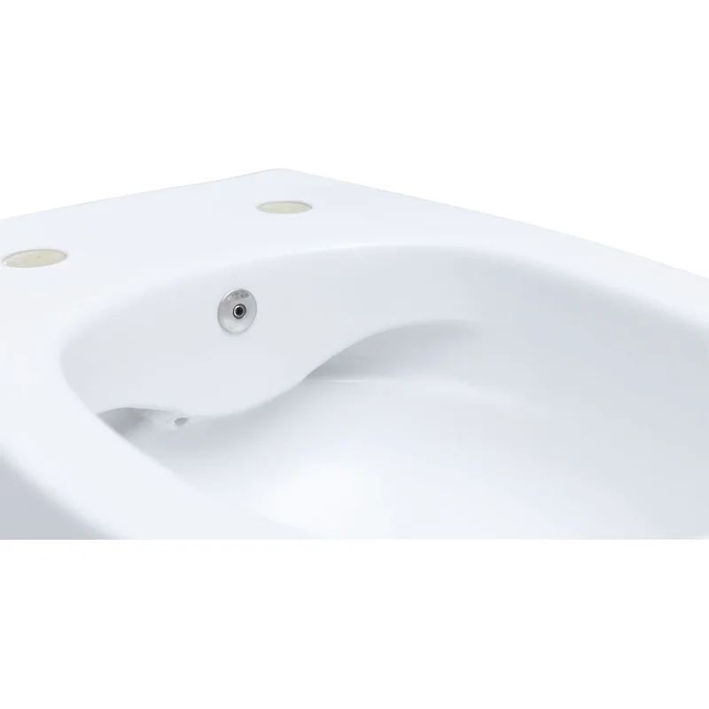 Чаша подвесного унитаза Allen Brau Fantasy 4.11HC1.20 белый глянец