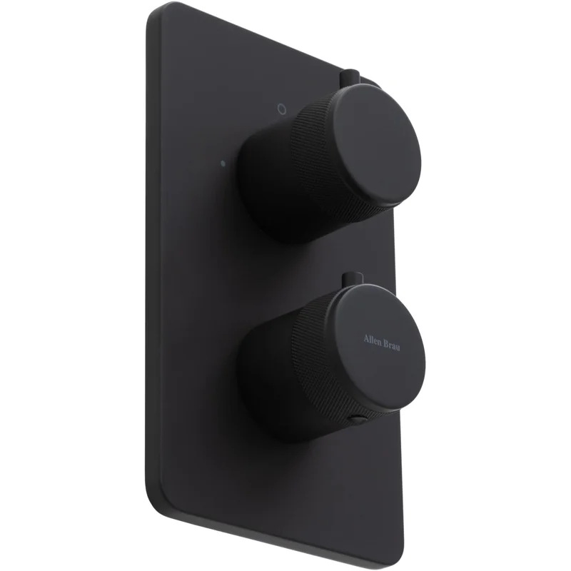 Смеситель для ванны Allen Brau Priority 5.31213-31 (с внутренней частью, 2 выхода) черный матовый