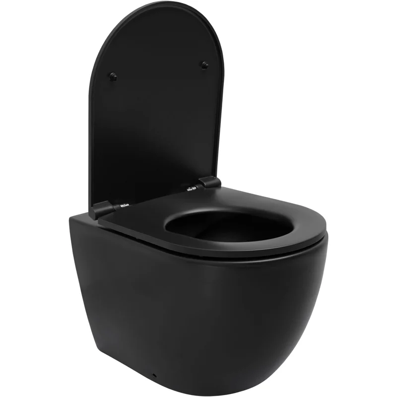 Чаша приставного унитаза Allen Brau Reality 4.32004.31 черный матовый