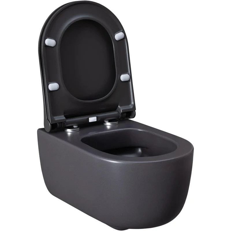 Чаша подвесного унитаза Allen Brau Priority 4.31002.AN антрацит