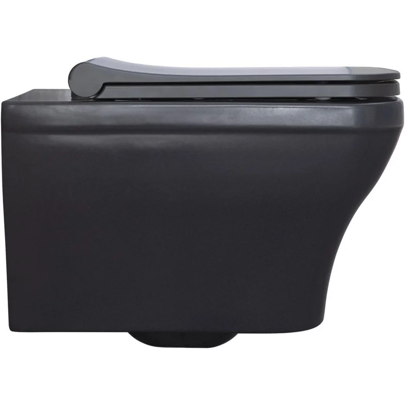 Чаша подвесного унитаза Allen Brau Infinity 4.21011.AN антрацит