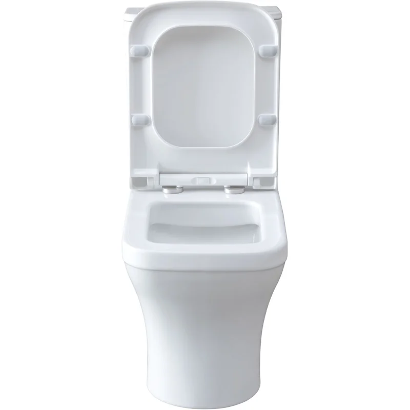 Чаша напольного унитаза Allen Brau Infinity 4.21012.20 белый глянец