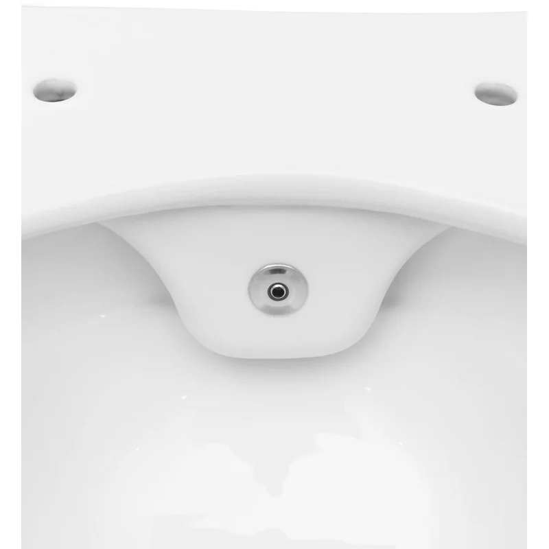 Чаша подвесного унитаза Allen Brau Liberty 4.33009.20 белый