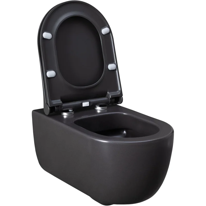 Чаша подвесного унитаза Allen Brau Priority 4.31001.AN антрацит