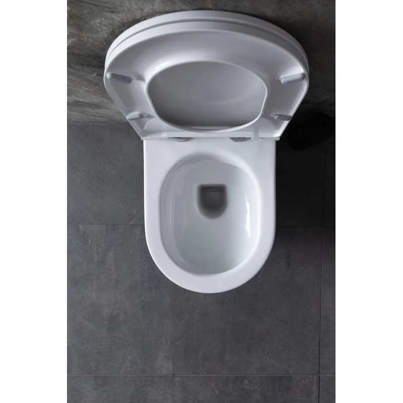 Унитаз с инсталляцией Allen Brau Reality 4.32006.20/8.9466.0.000.000.1 белый глянец