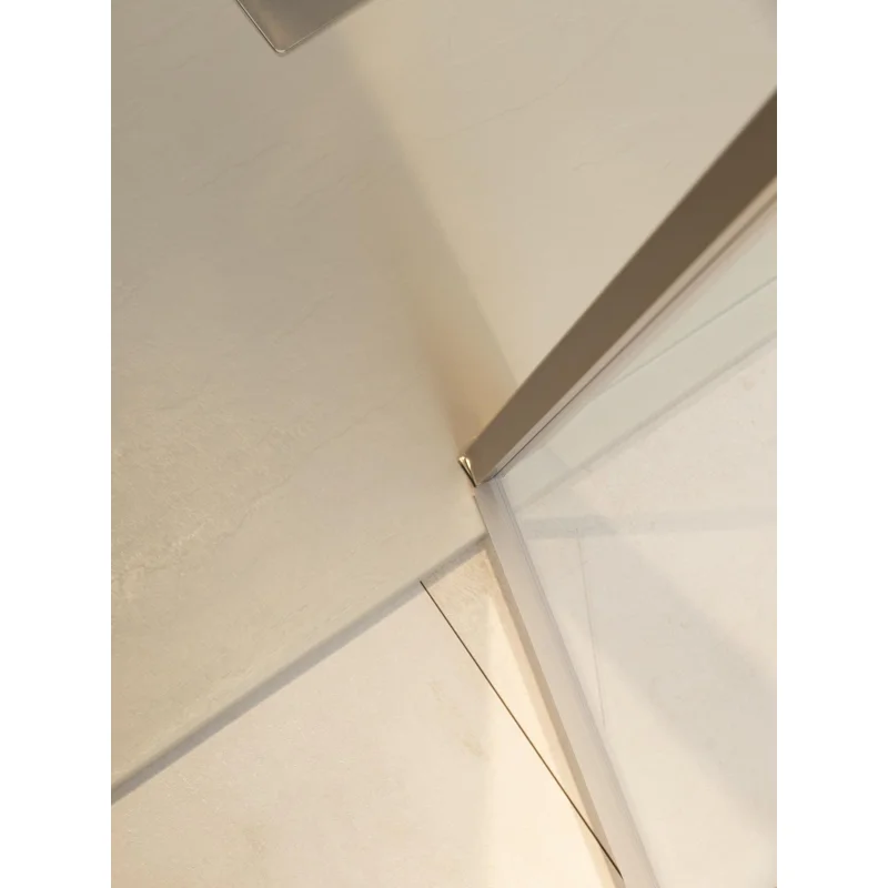 Душевая дверь Allen Brau Priority 120 3.31032.BA серебро браш