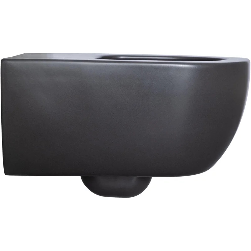 Чаша подвесного унитаза Allen Brau Priority 4.31001.31 черный матовый